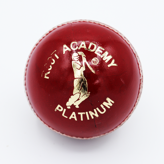 R66T Academy Cricket Ball - Platinum