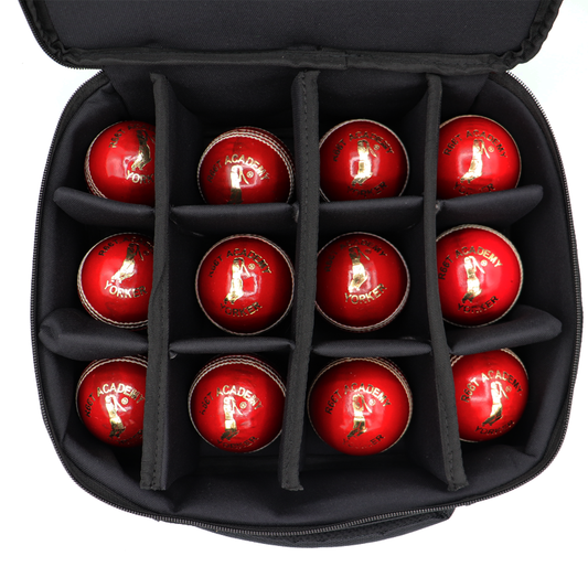 R66T Academy Cricket Ball Storage - Briefcase